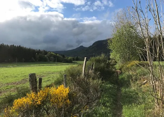 Cosy Au Mont-dore, Proche Centre Avec Parking - Fr-1-608-122 *