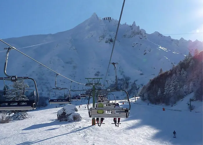 Cosy Au Mont-dore, Proche Centre Avec Parking - Fr-1-608-122 Appartement *